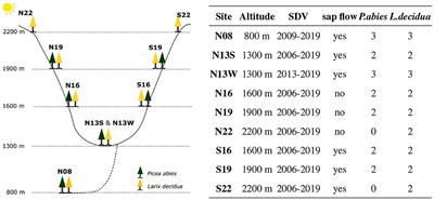 A method to quantify and account for the hygroscopic effect in stem diameter variations